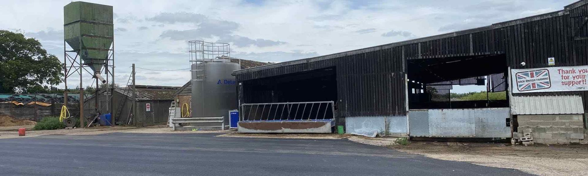 Cow Farm Cattle Yard