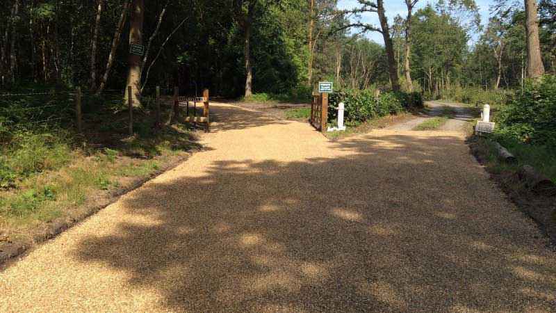 Hot Tar & Golden Gravel