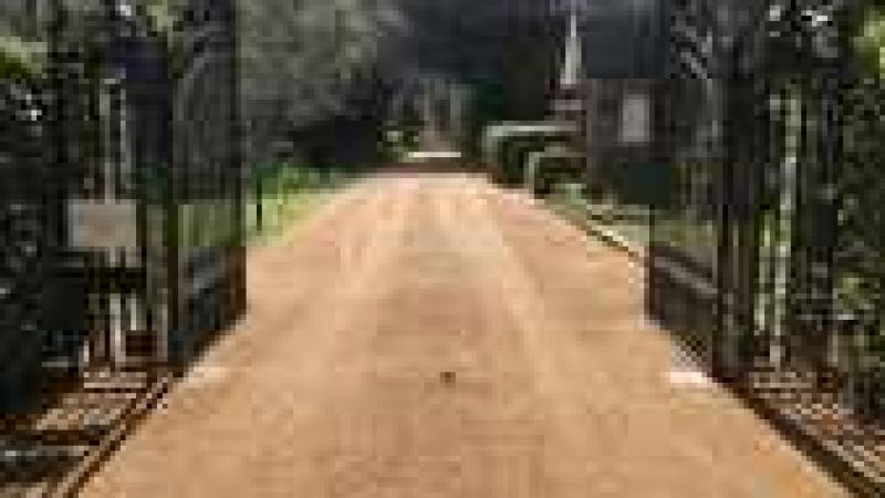 Hot Tar & Golden Gravel