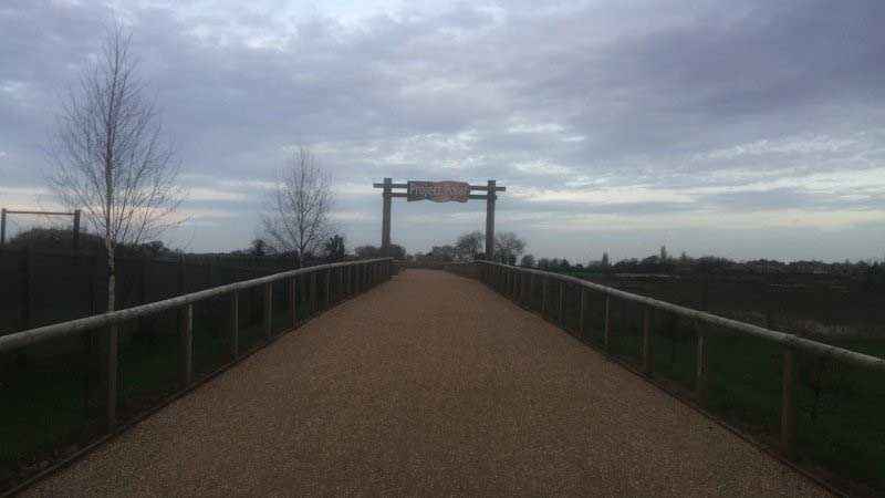 Hot Tar & Golden Gravel